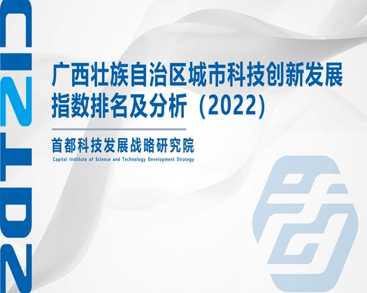 大奶大鸡吧在考逼【成果发布】广西壮族自治区城市科技创新发展指数排名及分析（2022）